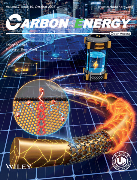 carbon energy封面.jpg